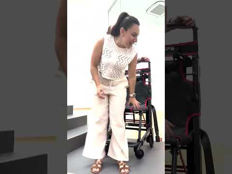 Sedia da trasporto scendi scale LG EVACU PLUS 2.0