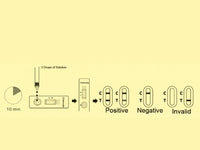 Test clamidia professionale (conf. da 20 test.)