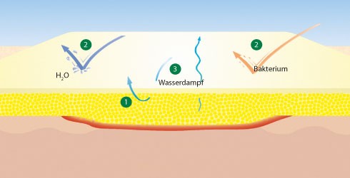 Suprasorb H standard - Idrocolloide cm 10x10 (Conf. 10 pz.)