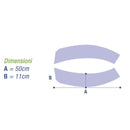 Cintura pelvica MOPEDIA Koala - a fasce separate