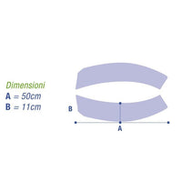 Cintura pelvica MOPEDIA Koala - a fasce separate