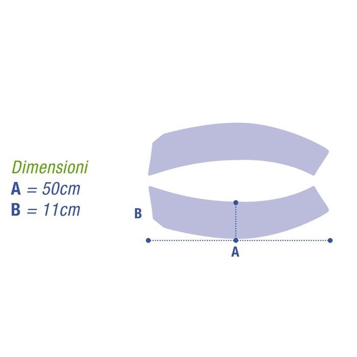 Cintura pelvica MOPEDIA Koala - a fasce separate
