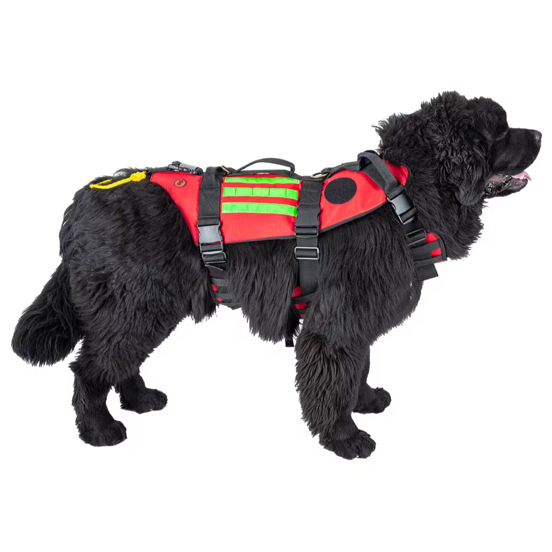 Imbracatura per cani da soccorso ELITE BAGS Rescue's Dog - L