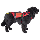 Imbracatura per cani da soccorso ELITE BAGS Rescue's Dog - L