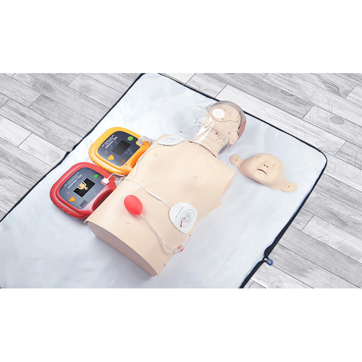 Elettrodi didattici Trainer ATM-112 - Adulti (coppia) - Originali