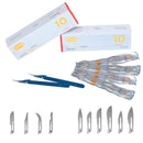 Bisturi monouso sterile CHIMO - Carbonio (10 pz.)