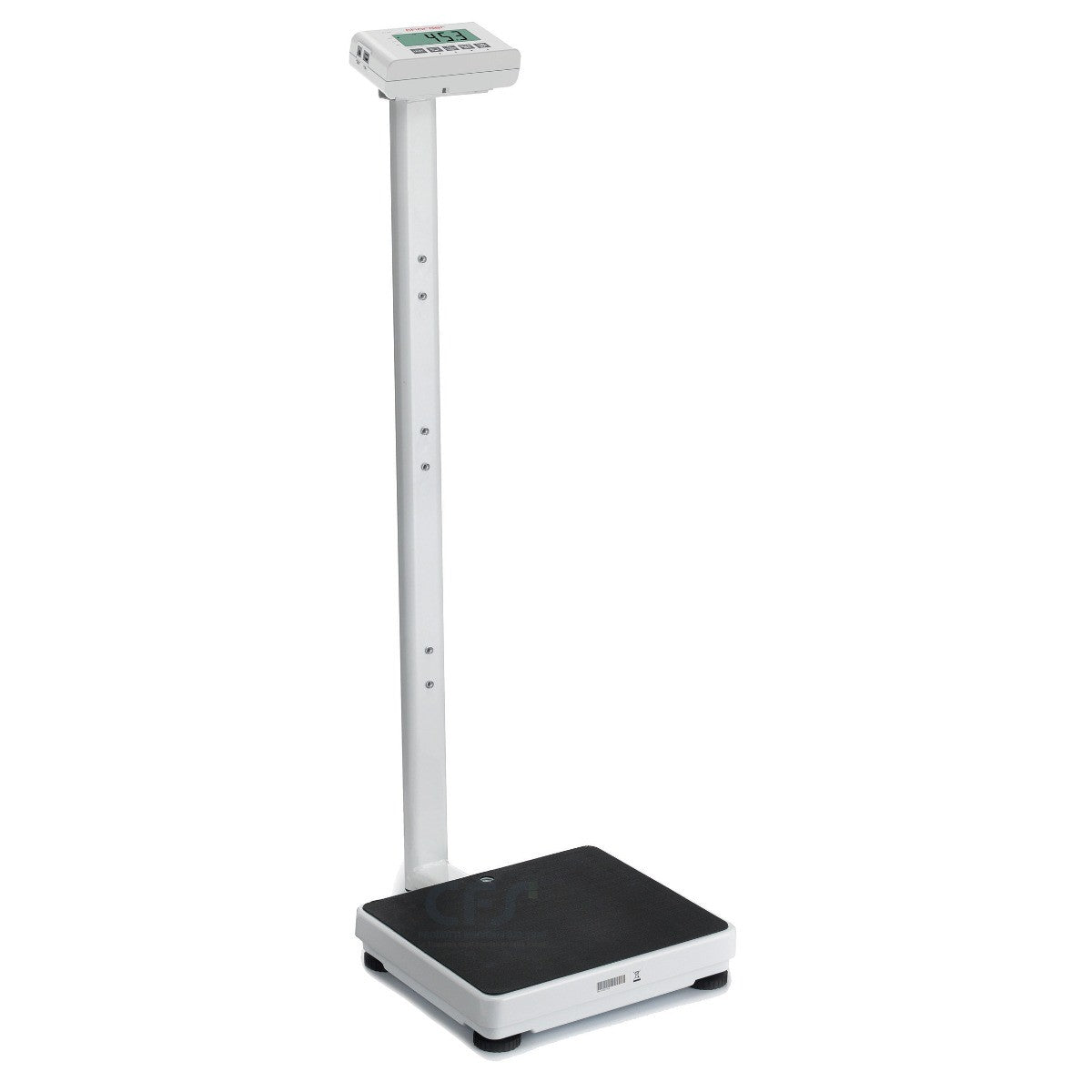 Bilancia digitale a colonna BLC120