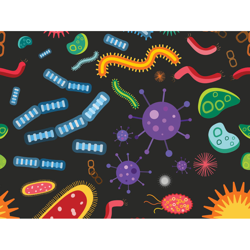 Cappellino chirurgico fantasia Biologia - M