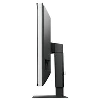 Monitor medicale da refertazione EIZO RX560 + RadiLight Omaggio!