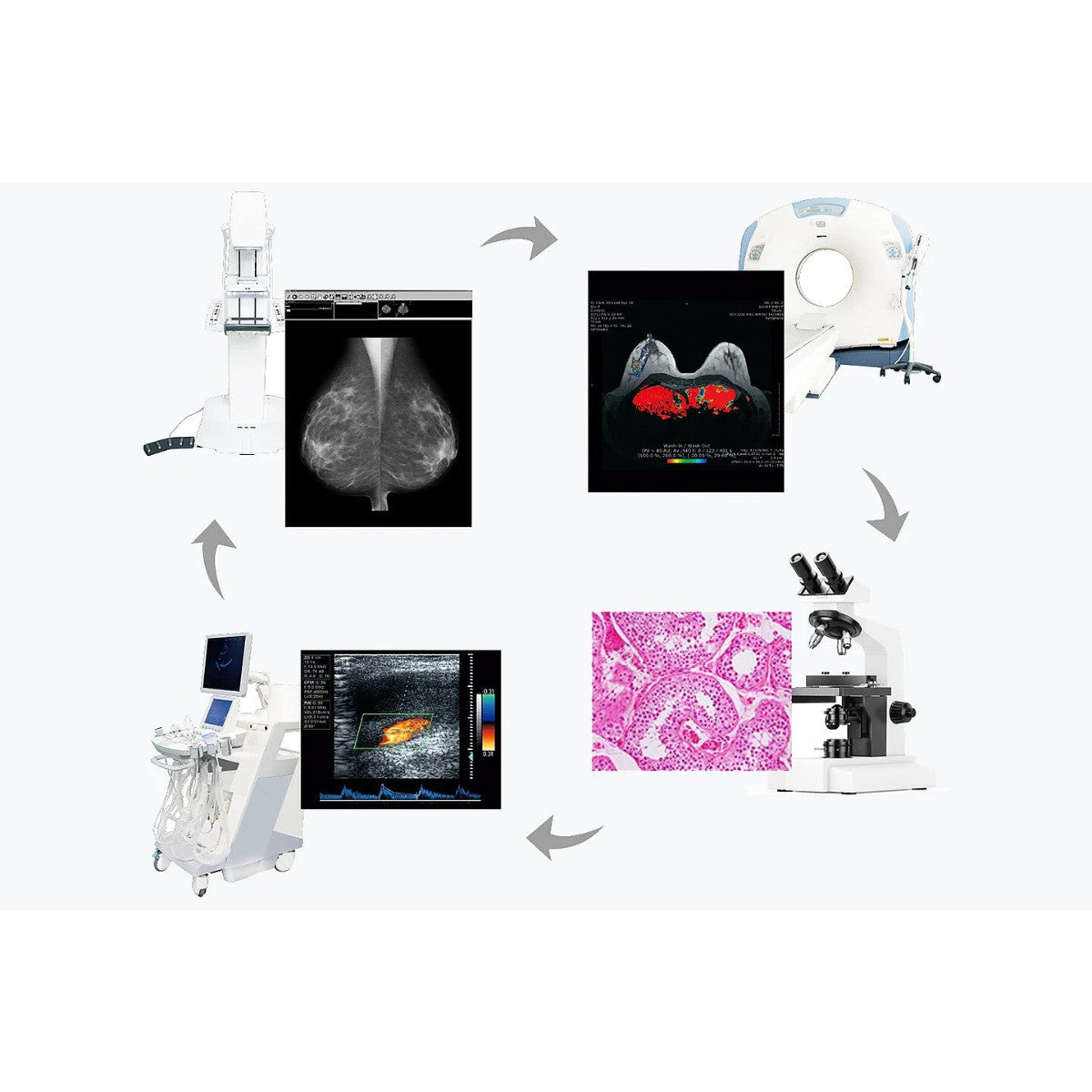 Monitor medicale da refertazione EIZO RX560-MD + RadiLight Omaggio!