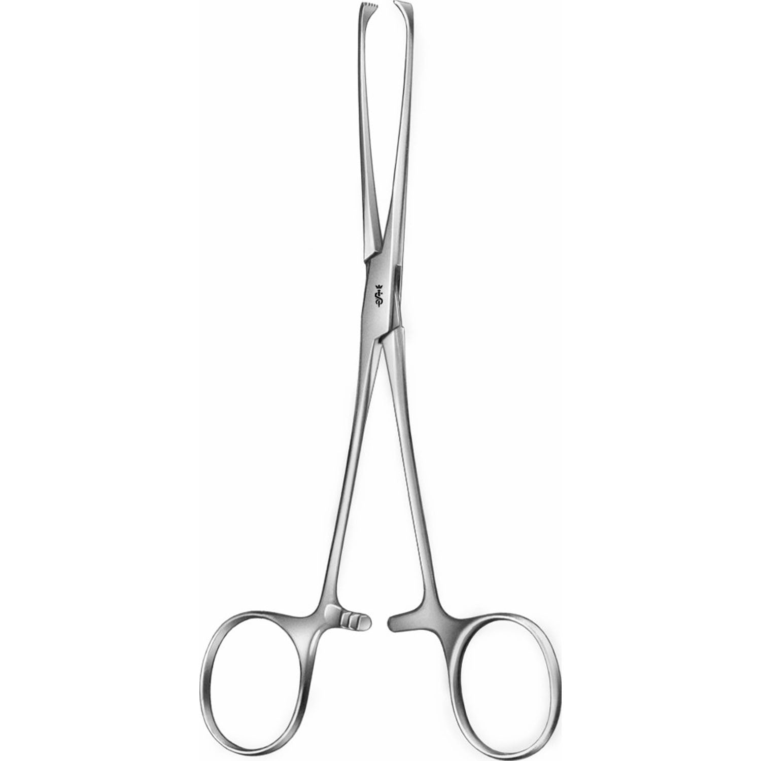 Aesculap Pinza Intestinale Allis 5X6 Denti 155mm