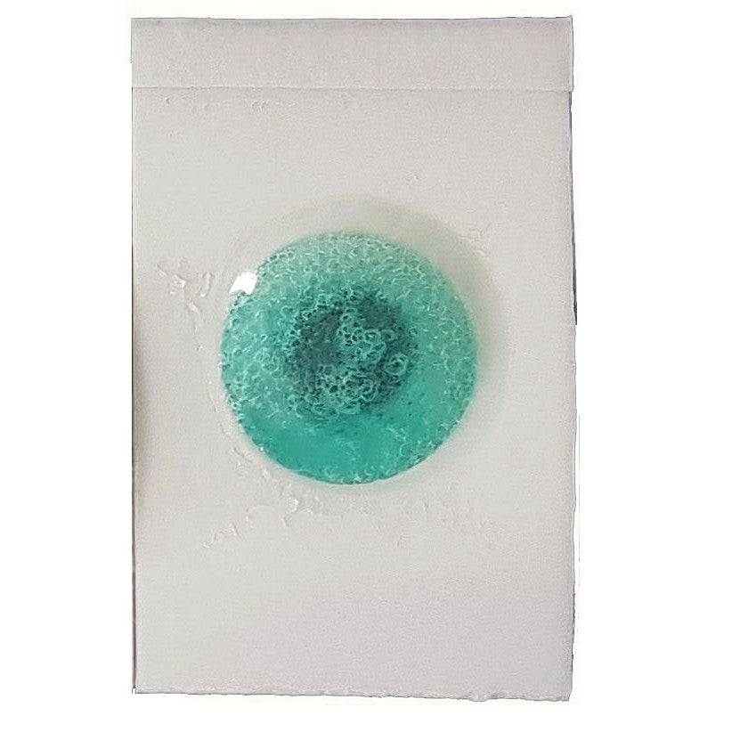 Elettrodi ECG in Foam adesivo F9047/4FL - 28 x 44 mm - (50 pz.)