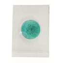 Elettrodi ECG in Foam adesivo F9047 - 32 x 44 mm (50 pz.)