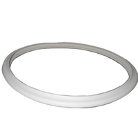 Guarnizione per Autoclave Hydra 100 Automatic