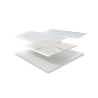 Kerramax Care - Medicazione assorbente cm 10x10 (Conf. 10 pz.)