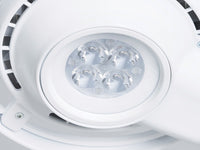 Lampada MS Led FLEX Plus su carrello