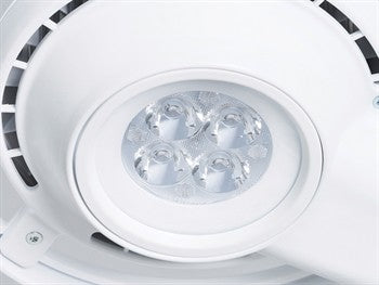Lampada MS Led Plus su carrello