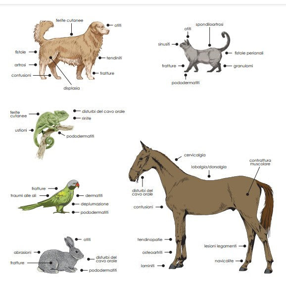 Laserterapia per veterinaria GLOBUS LaserVet 3.0