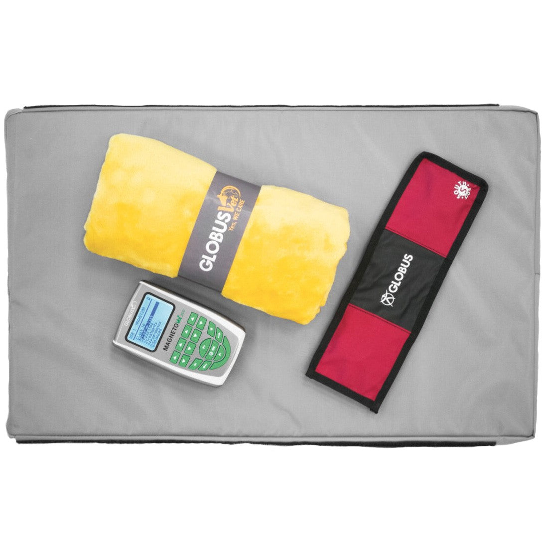 Magnetoterapia per veterinaria GLOBUS MagnetoVet 200 - Con cuccia terapeutica