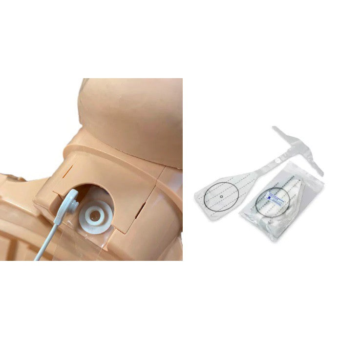 Manichino RCP adulto Prestan series 2000 - con Feedback avanzato