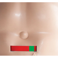 Manichino RCP adulto Ambu Man SAM