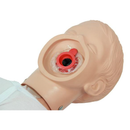 Manichino RCP pediatrico Ambu Junior