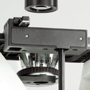 Microscopio invertito trinoculare KERN OCM 165