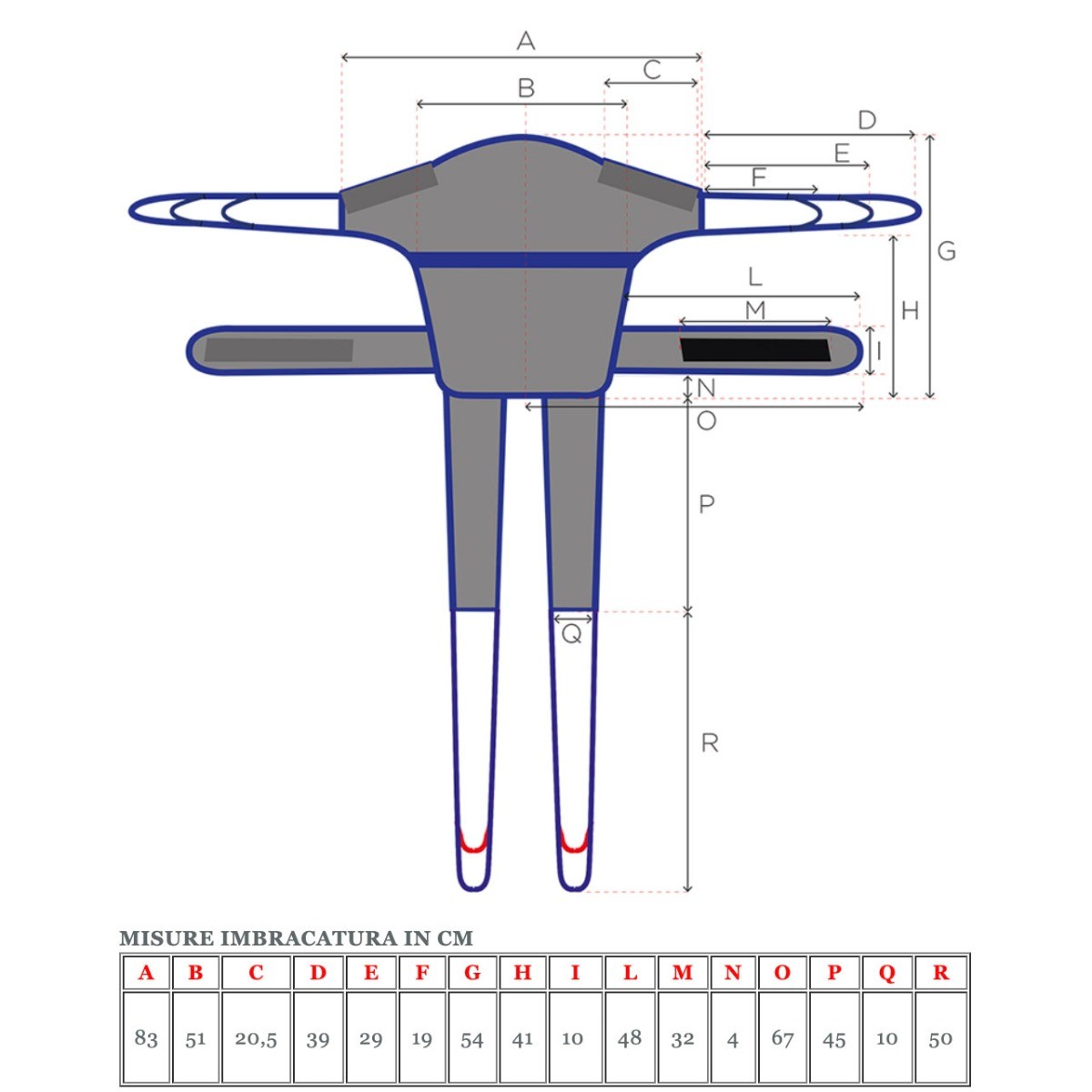 Imbracatura pelvica RP896 per verticalizzatore