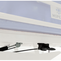 Molla a gas + maniglia di sblocco per inclinazione del piano barella per barelle doccia idrauliche NEFTI