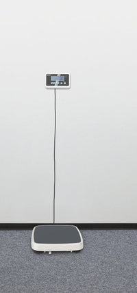 Bilancia digitale KERN MPC 250K100M