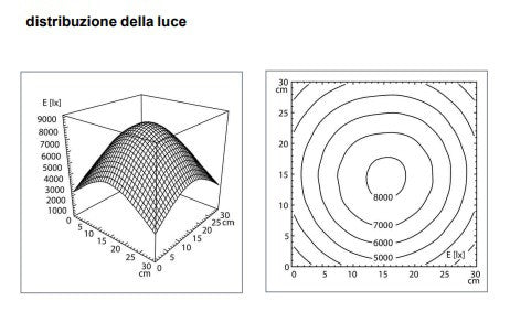 Lampada con lente Derungs D OPTICLUX 10 - 2 P TX - Wood - Licht
