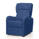 Poltrona elevabile 2 motori AGAVE PO410 con Roller