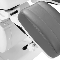 Poltrona multifunzionale AZZURRO 870S elettrica a 3 motori - Grigio