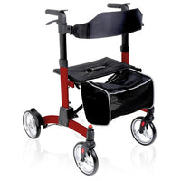 Deambulatore Rollator Artemis RP553