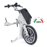 Ruotino elettrico per disabili TIBODA 750W - TB075