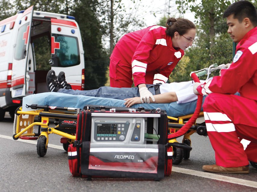 Ventilatore polmonare SHANGRILA 510S