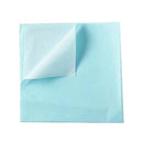 Telo Salvamaterasso MEDLINE - cm 80 x 210 (100 pz.)