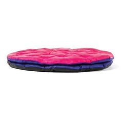 Altri presidi posizionamento e trasferimento