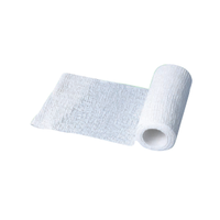 Benda elastica all'ossido di zinco ZINCABEND Phyto Performance 10 cm x 5 m