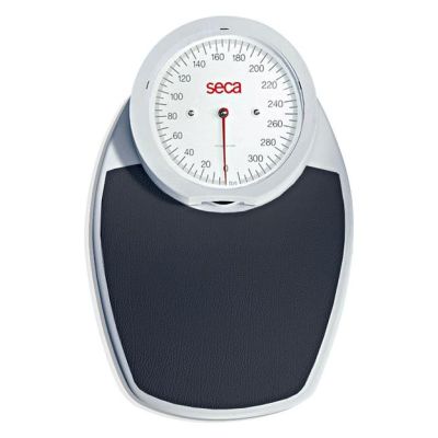 Bilancia meccanica da terra SECA viva 750 