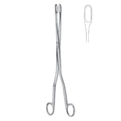 Pinza Winter retta cm 28 x 10 mm 