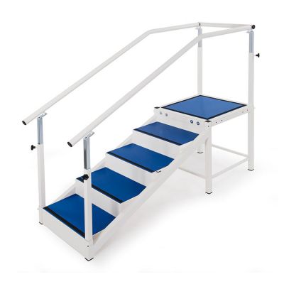 Scala 1 rampa 4 gradini per deambulazione